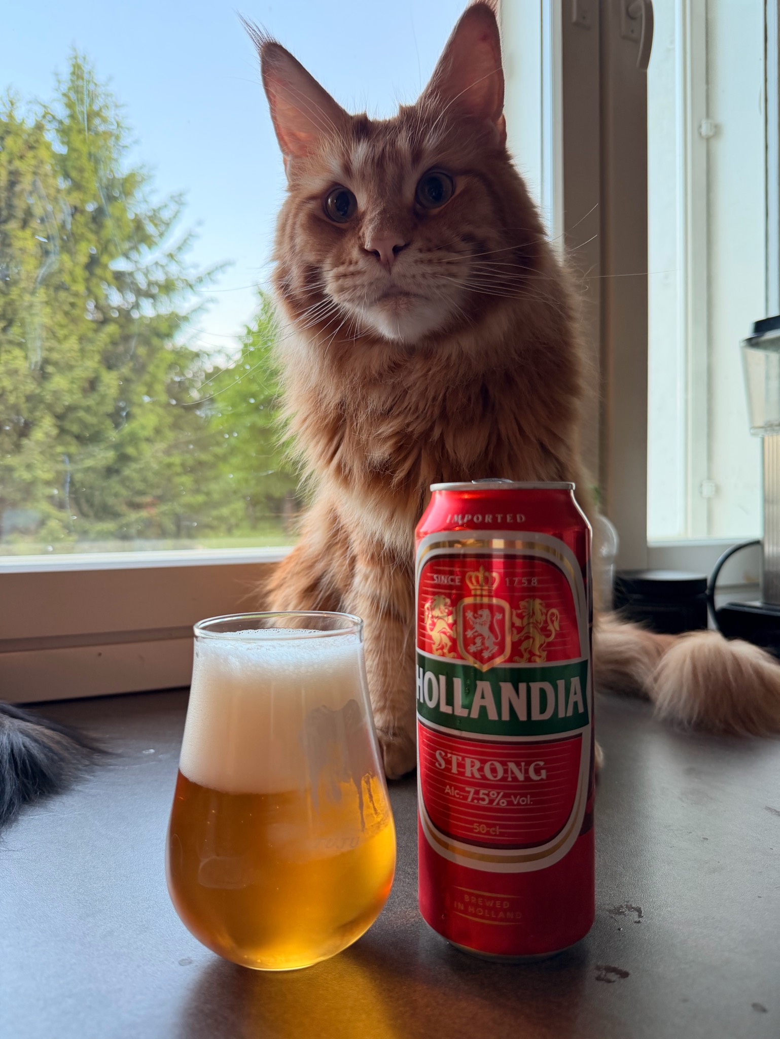 Hollandia Strong, Bavaria Brouwerij (Swinkels Family Brewers)