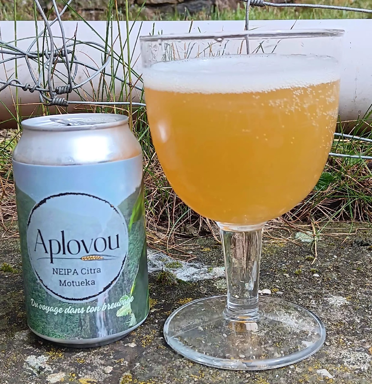 Aplv #1 NEIPA Citra Motueka, Aplovou