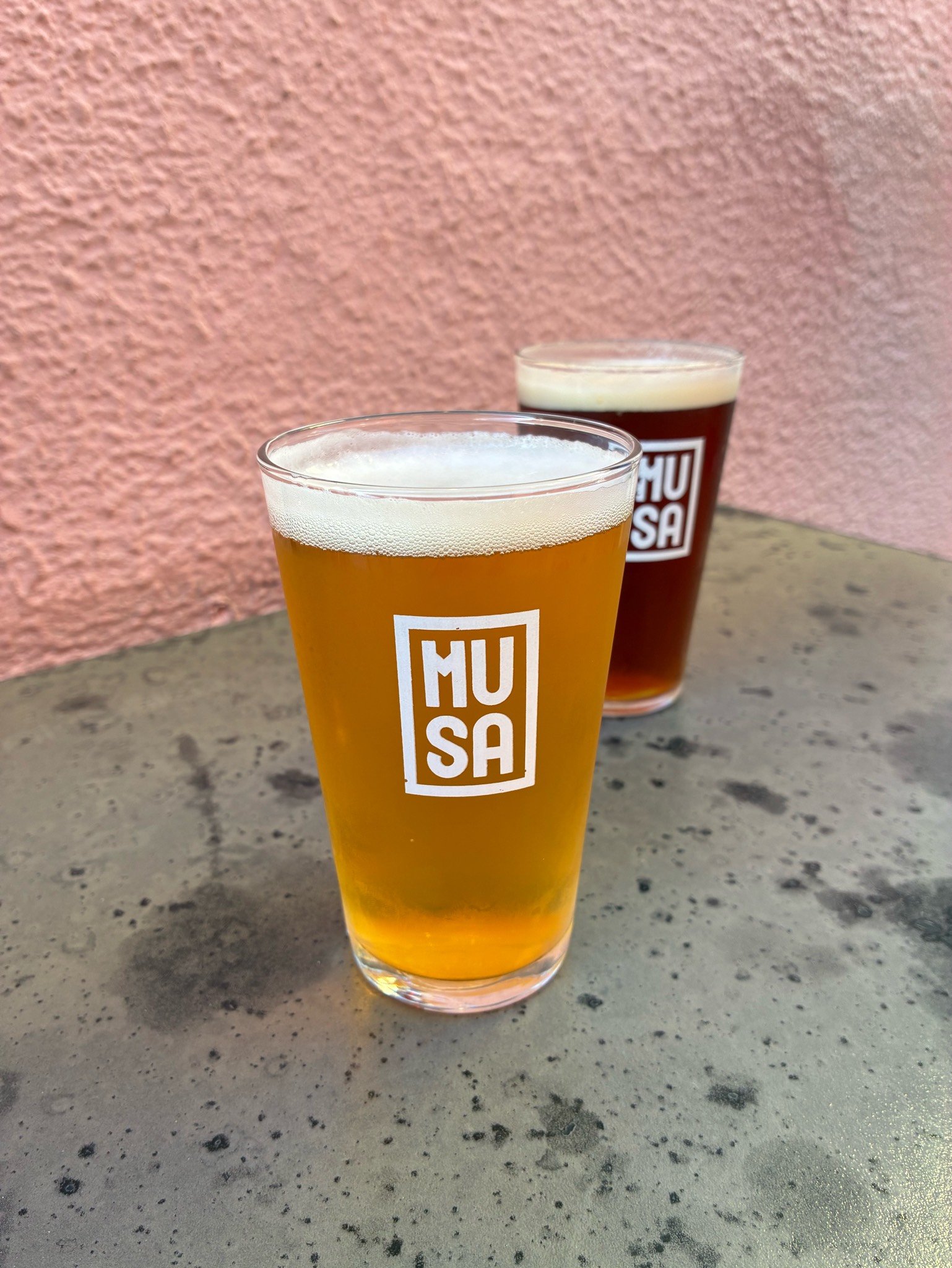 Red Zeppelin IPA, Cerveja Musa