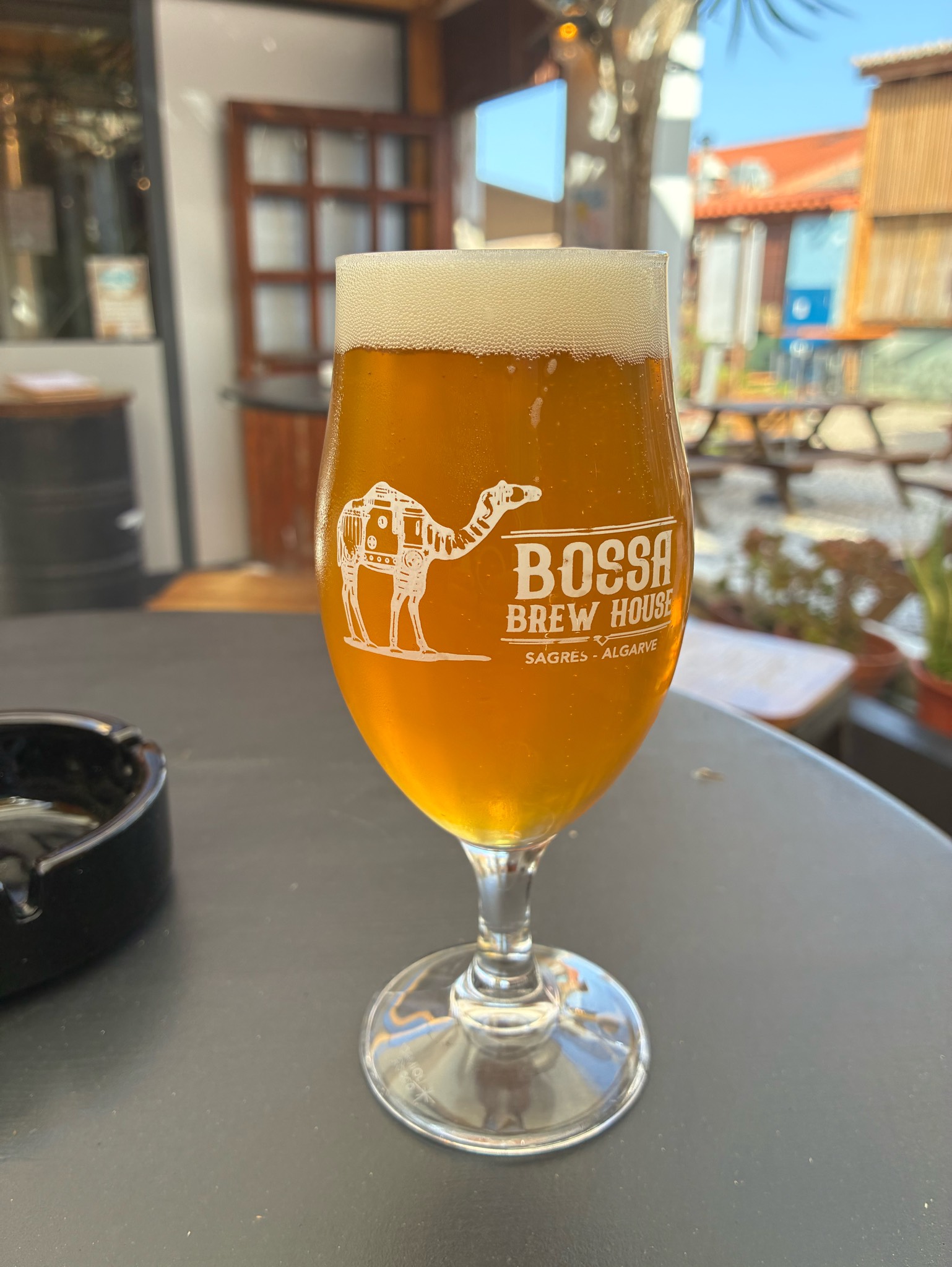 Bossa Brew Sagres Pale Ale, Bossa Brew House