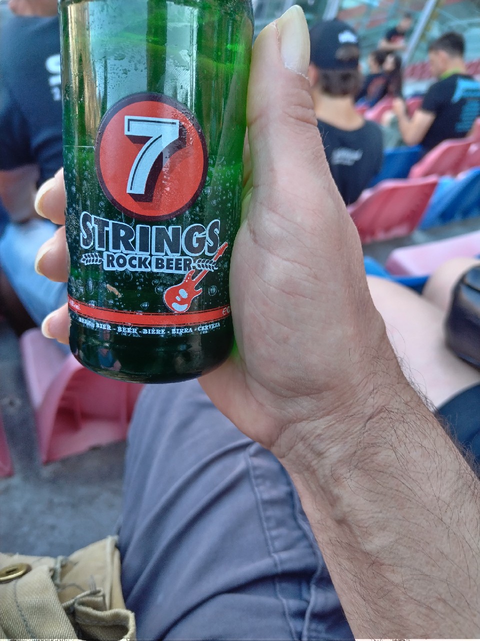 7 Strings Beer, 7 Strings Beer
