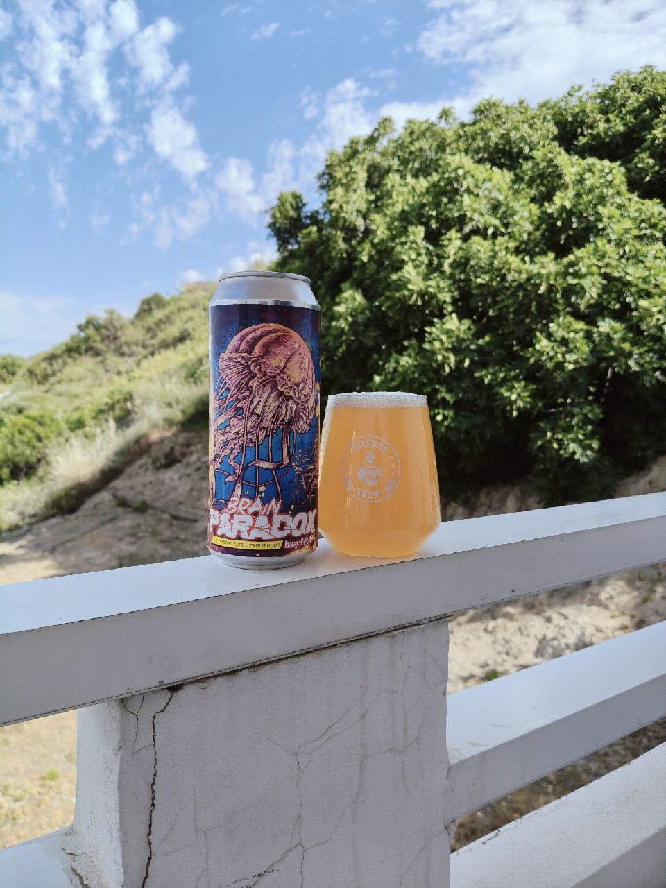 Brain Paradox, Alea Brewing Co.