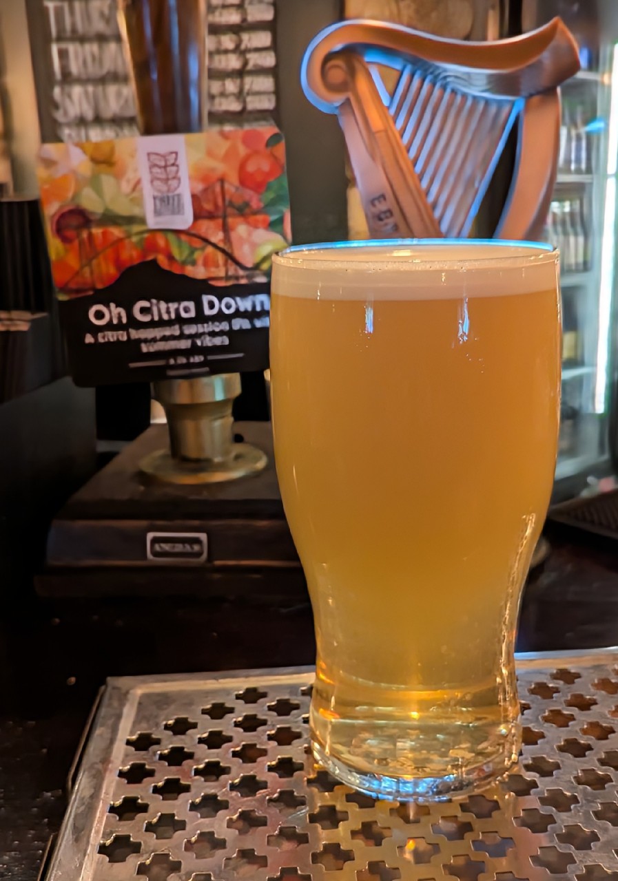 Oh Citra Down, Three Brothers Brewing Co