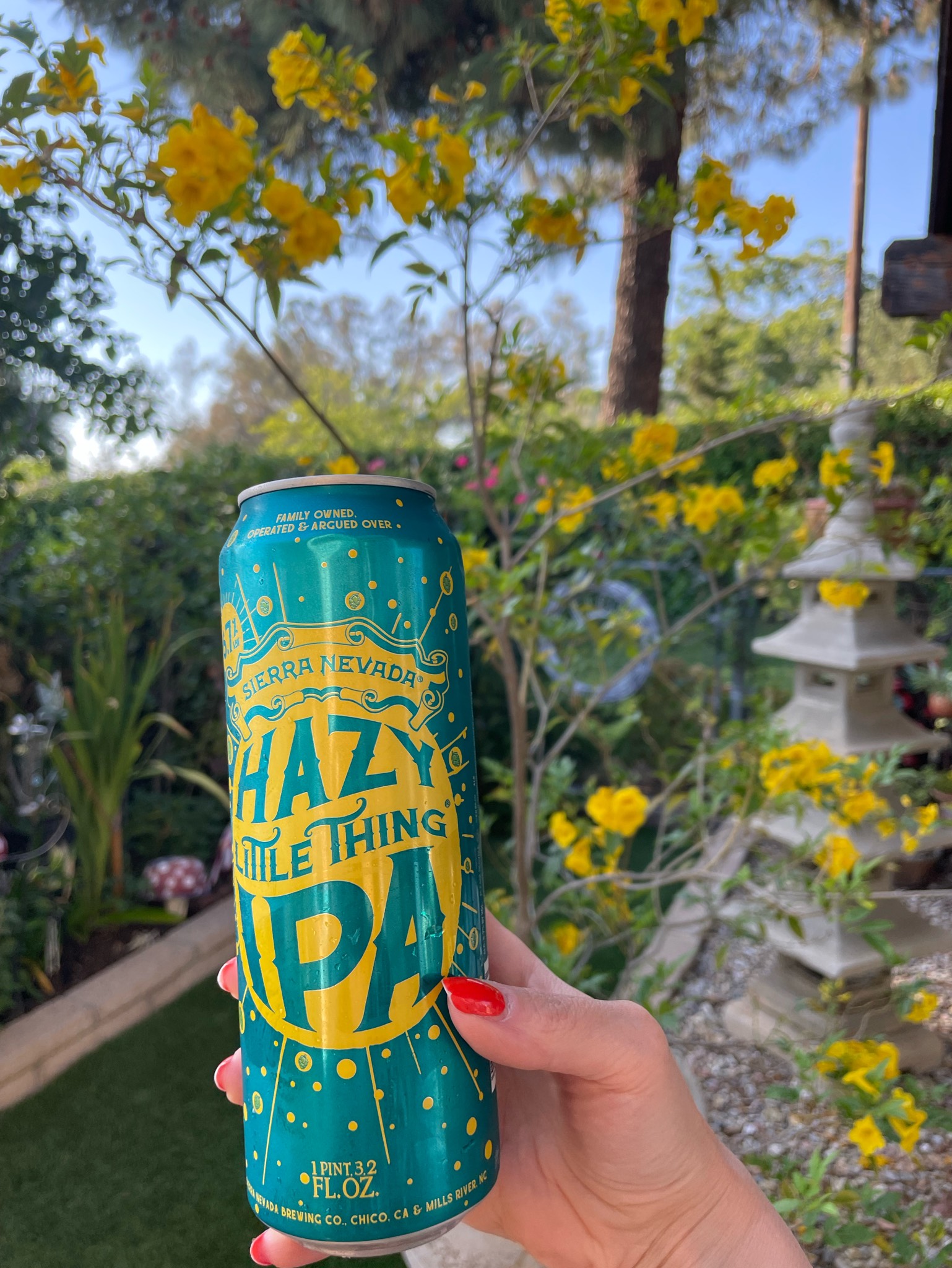 Hazy Little Thing IPA, United States
