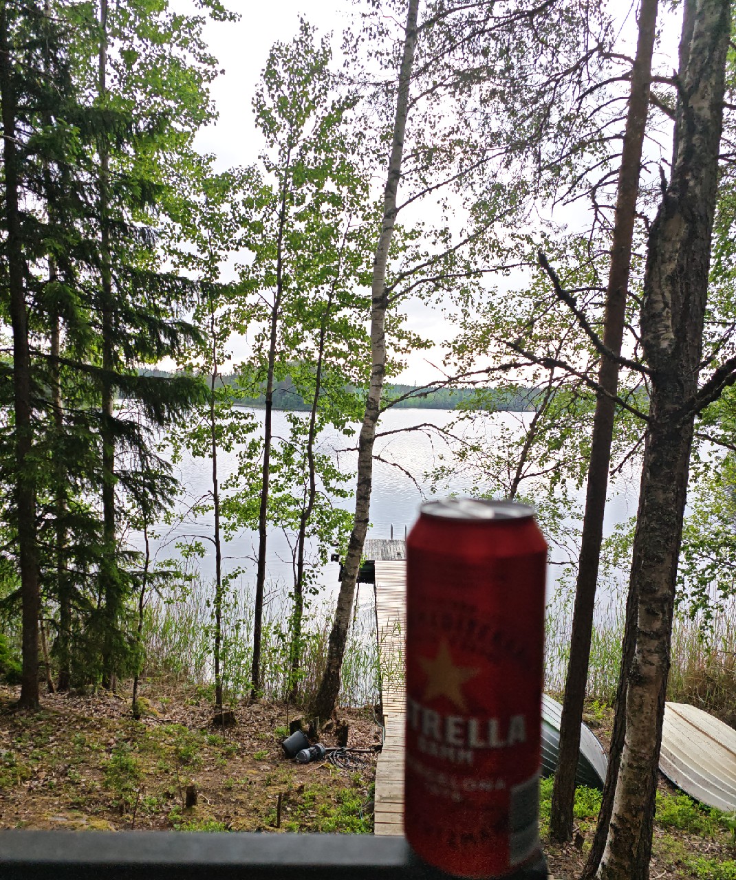 Estrella Damm, Damm