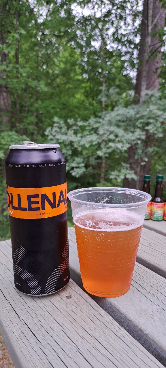 Óllenaut pale ALE, Estonia