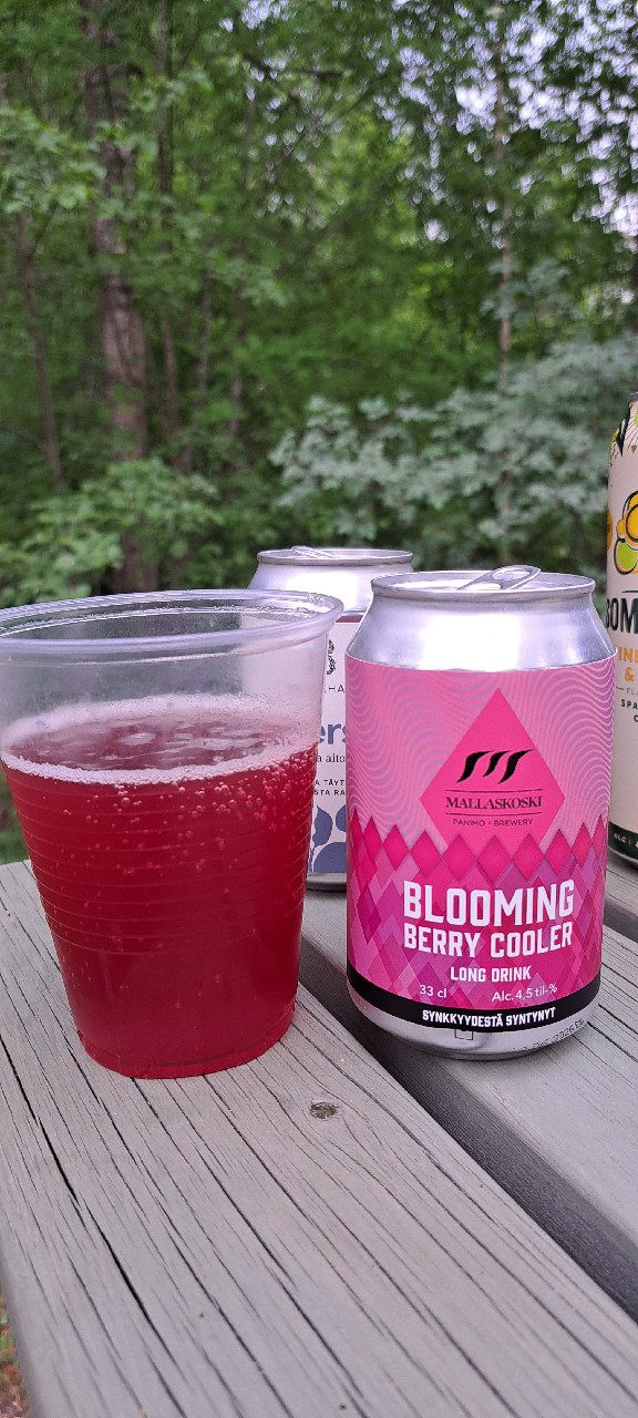 Blooming Berry Cooler Long Drink, Finland