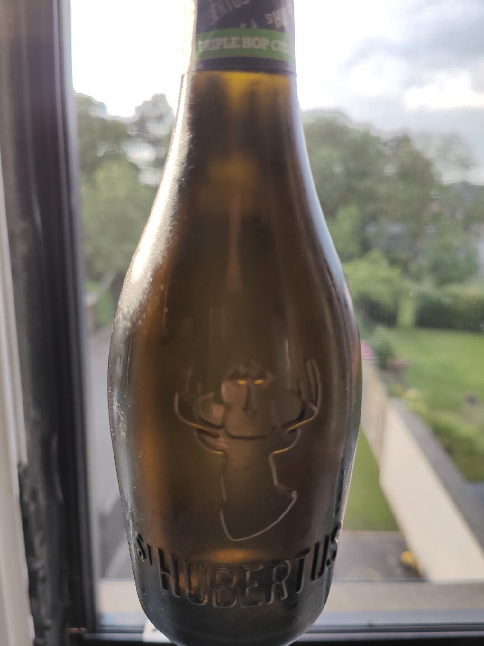 Triple Hop Citra, St. Hubertus (Carlsberg Group)