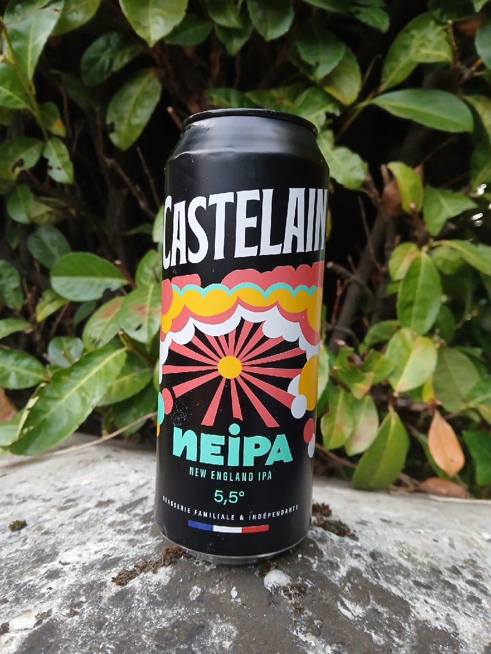 Castelain NEIPA, Brasserie Castelain