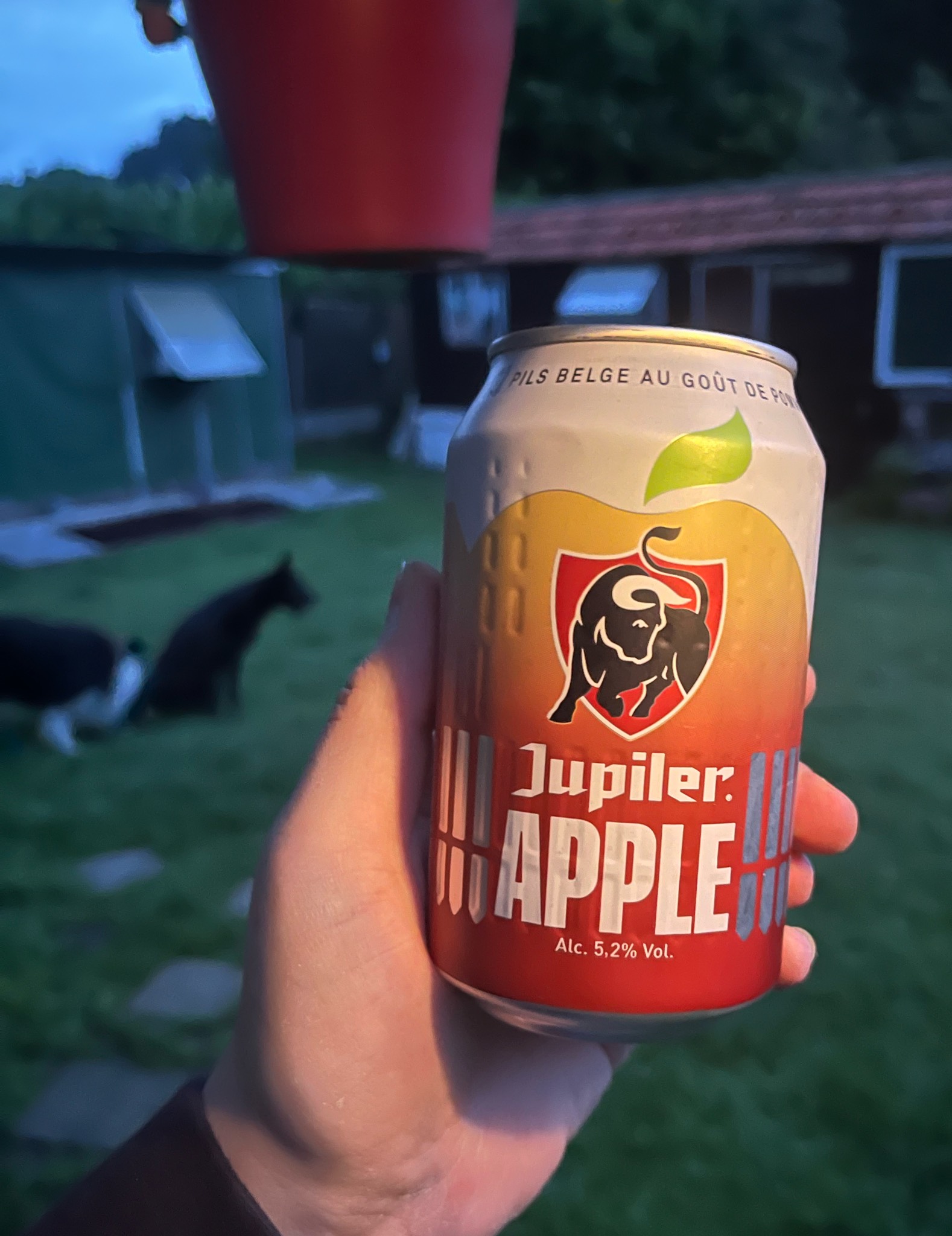 Jupiler Apple, Belgium