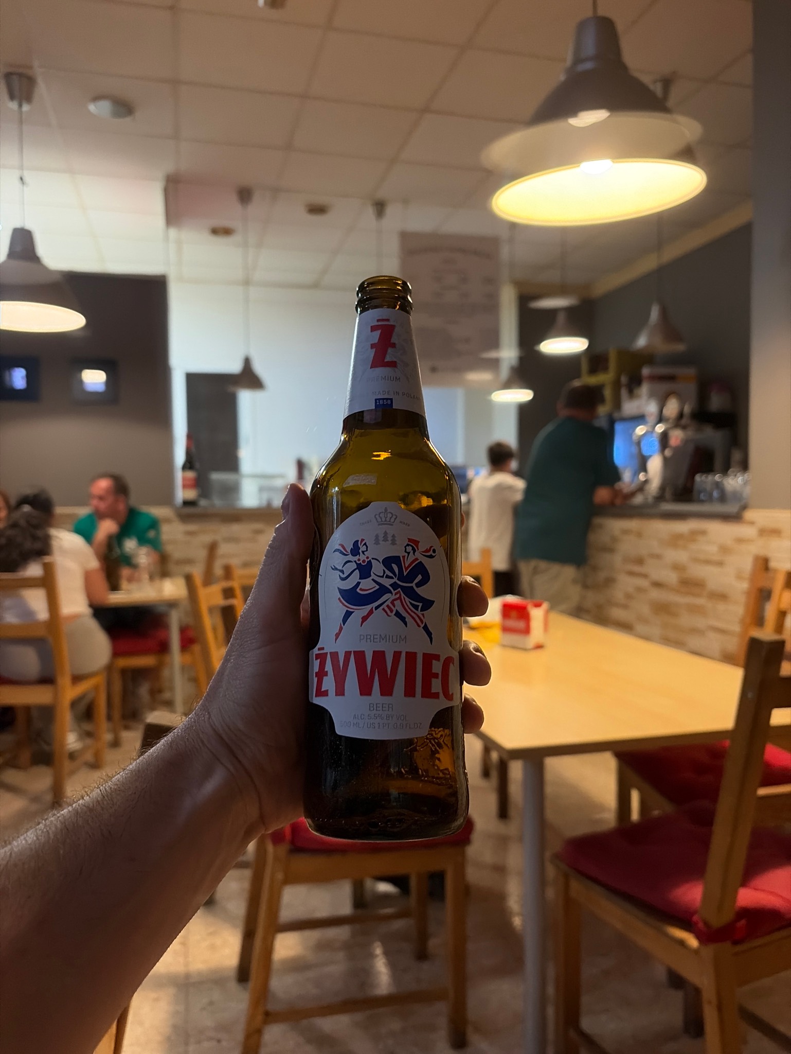 Żywiec, Grupa Żywiec (Heineken)