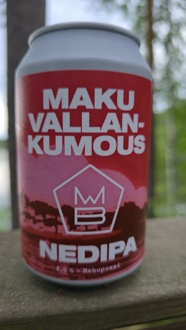 Vallankumous, Finland