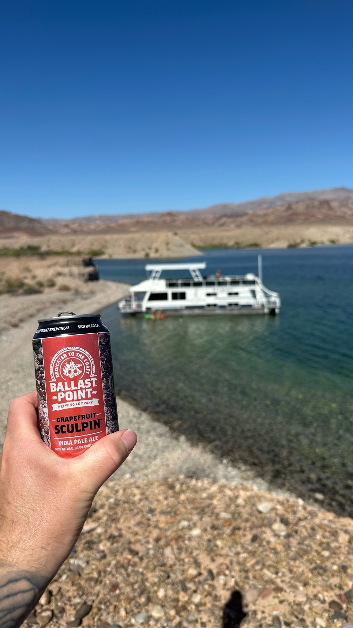 Grapefruit Sculpin, Ballast Point Brewing Company