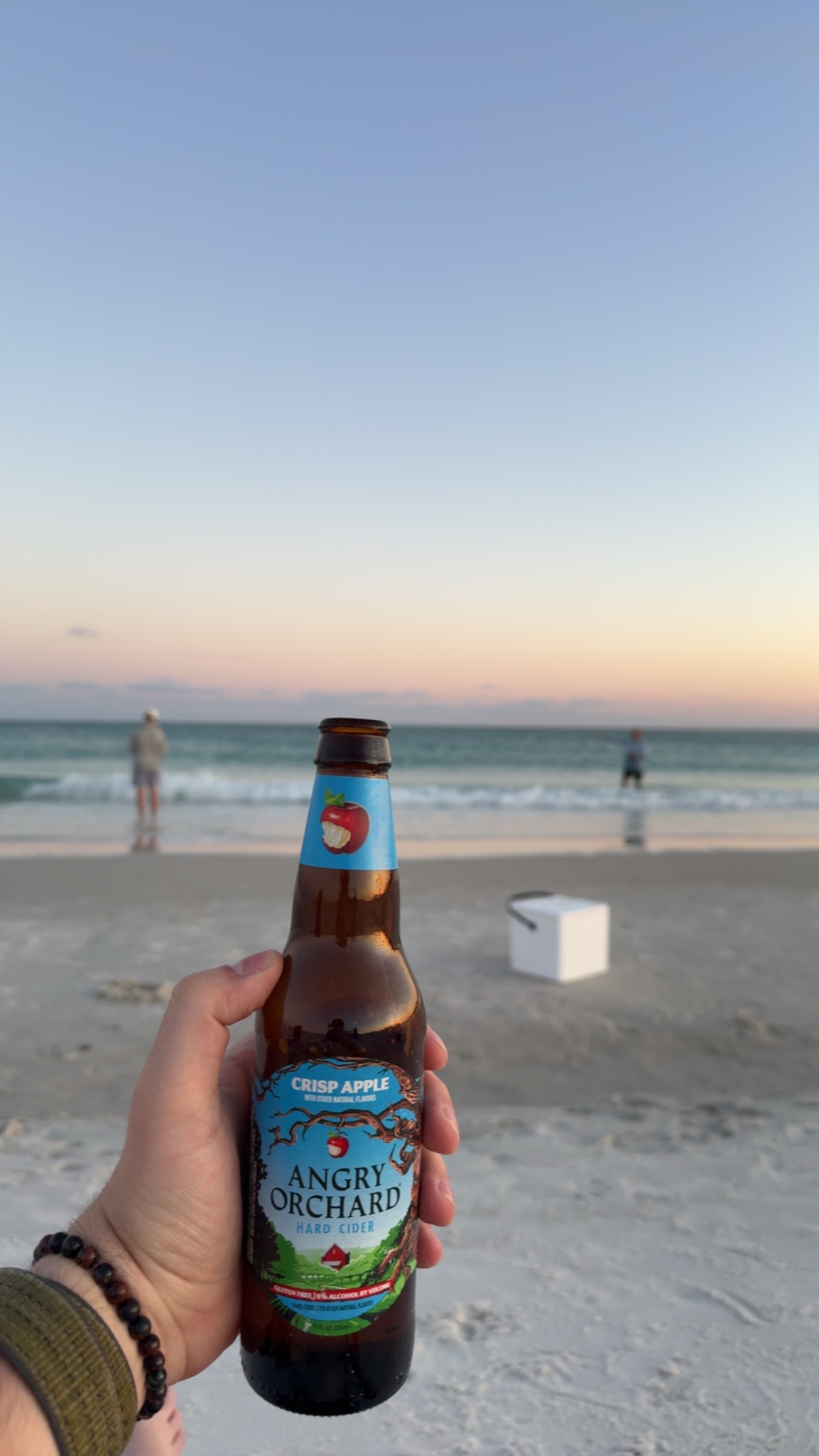 Angry Orchard Crisp Cider, Naked City Brewing