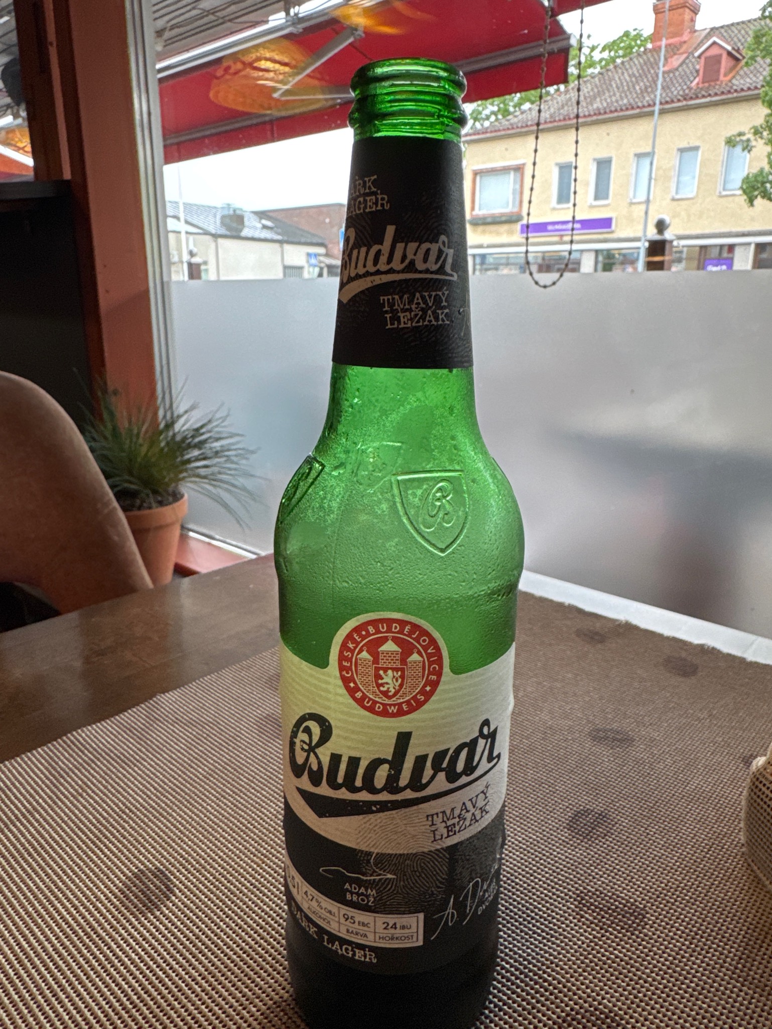 Budějovický Budvar Tmavý Ležák / Czechvar B: Dark, Budějovický Budvar