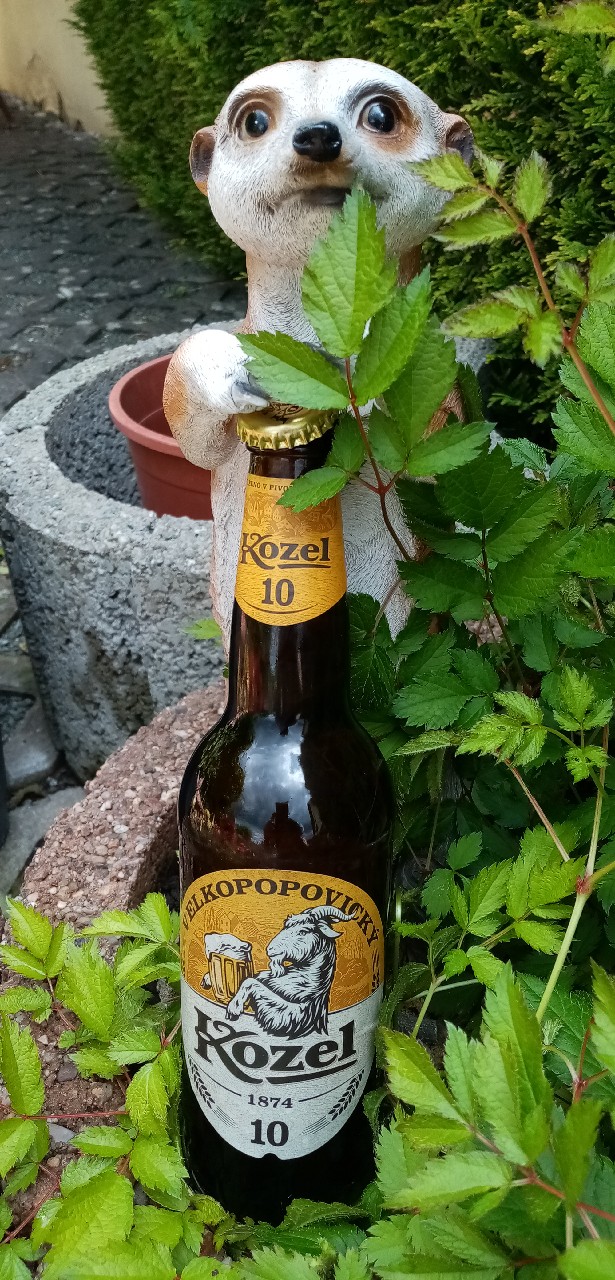 Kozel Světlý / Kozel 10°, Pivovar Velké Popovice (Asahi Breweries)