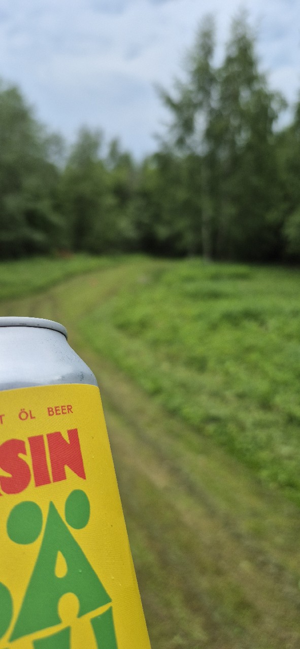 Kesäkolli, Finland