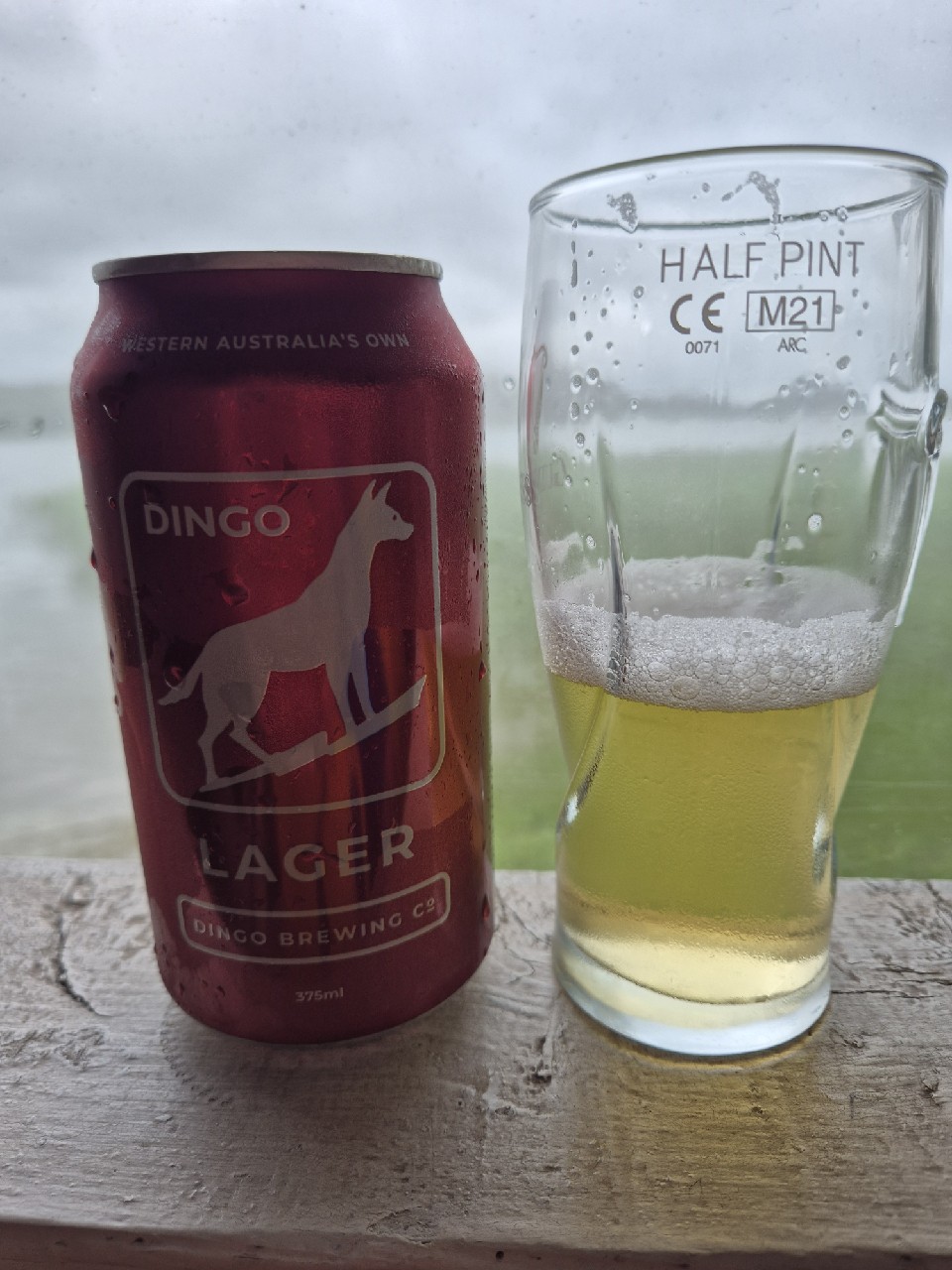 Dingo Lager, Australia