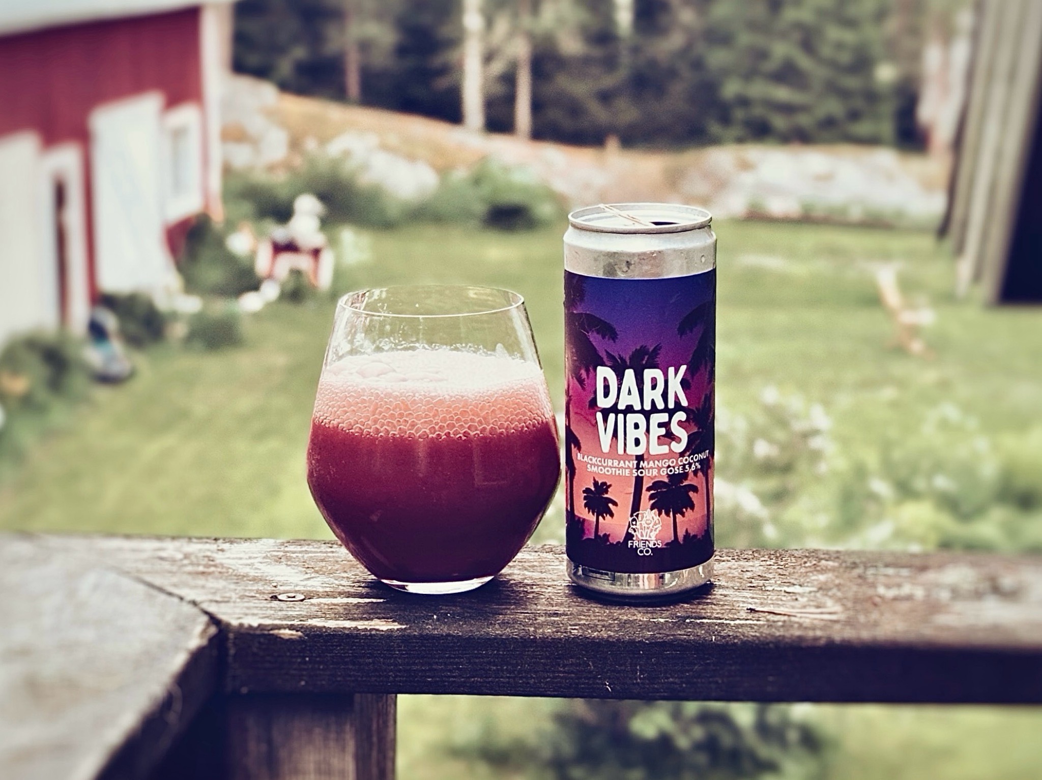 Dark Vibes, Friends Company