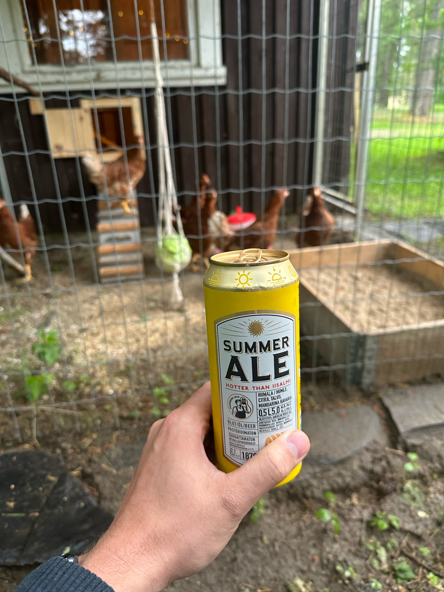 Summer Ale, Finland
