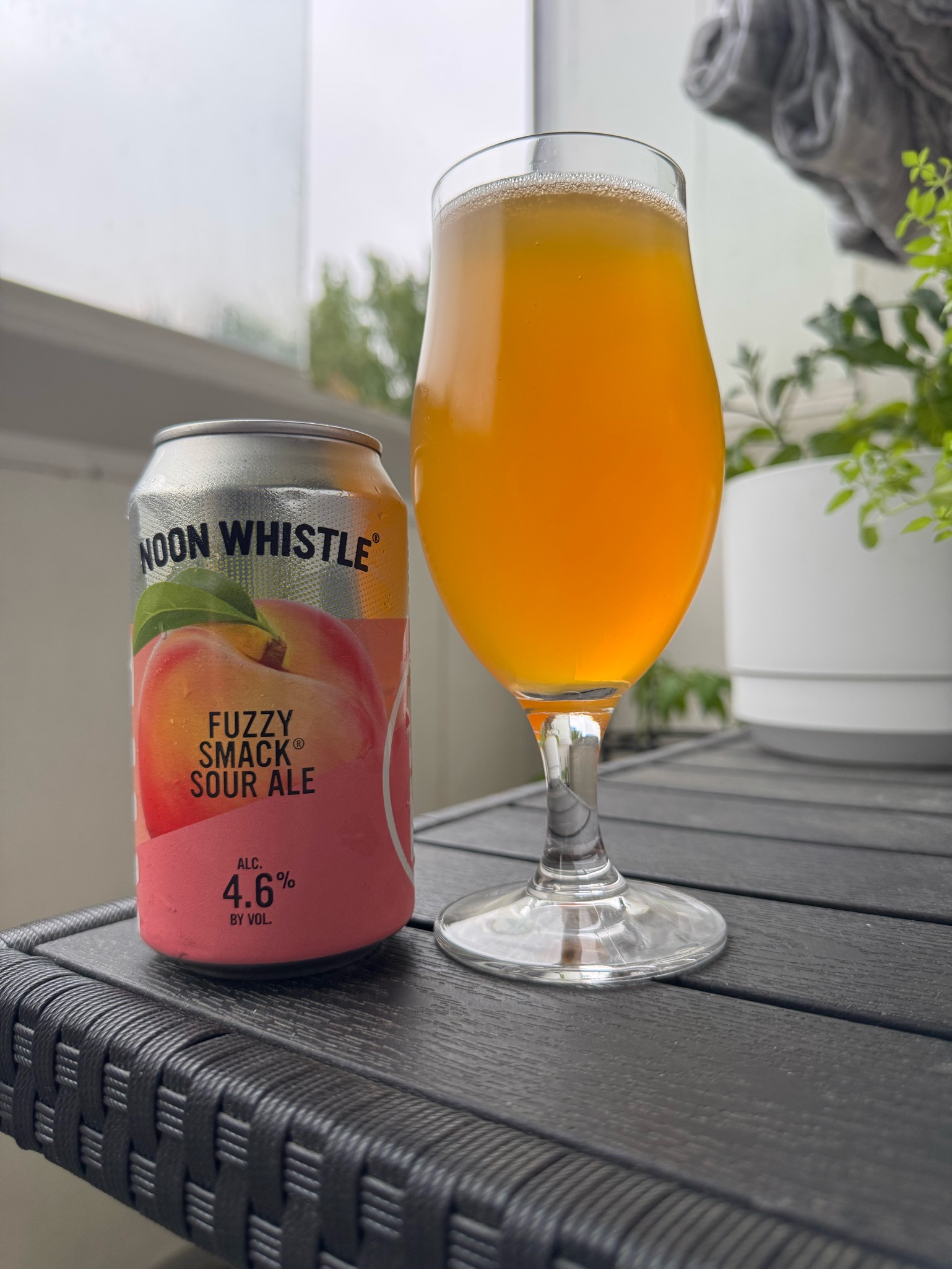 Fuzzy Smack Sour Ale, Noon Whistle Brewing