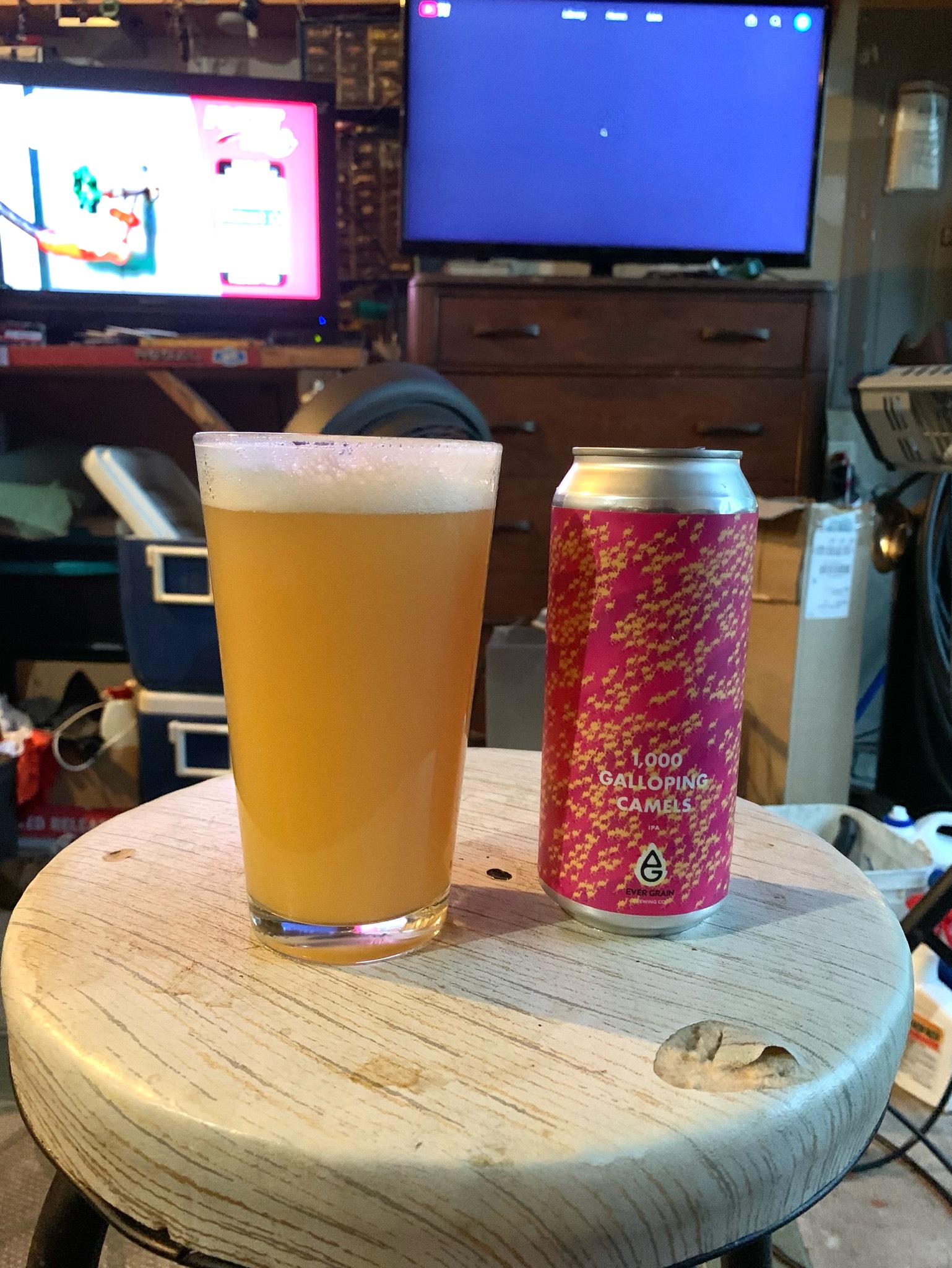 1000 Galloping Camels, Ever Grain Brewing Co