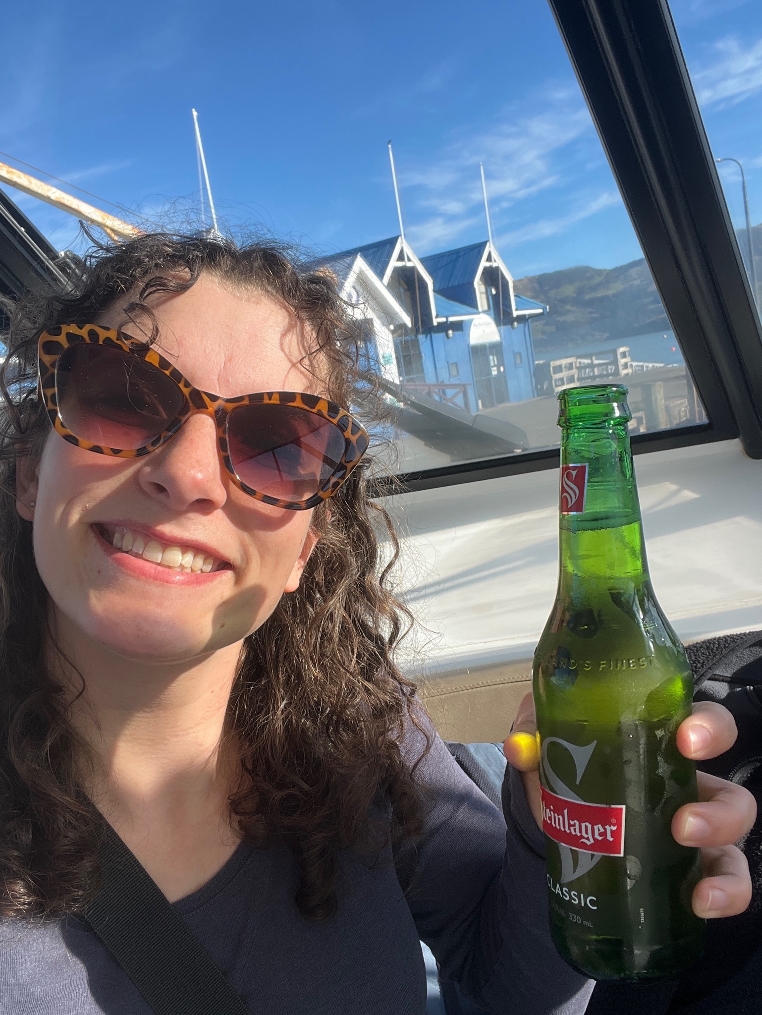 Steinlager Classic, New Zealand
