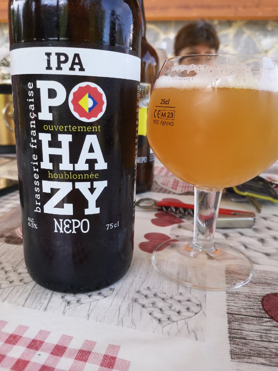 Pohazy, Brasserie Nepo