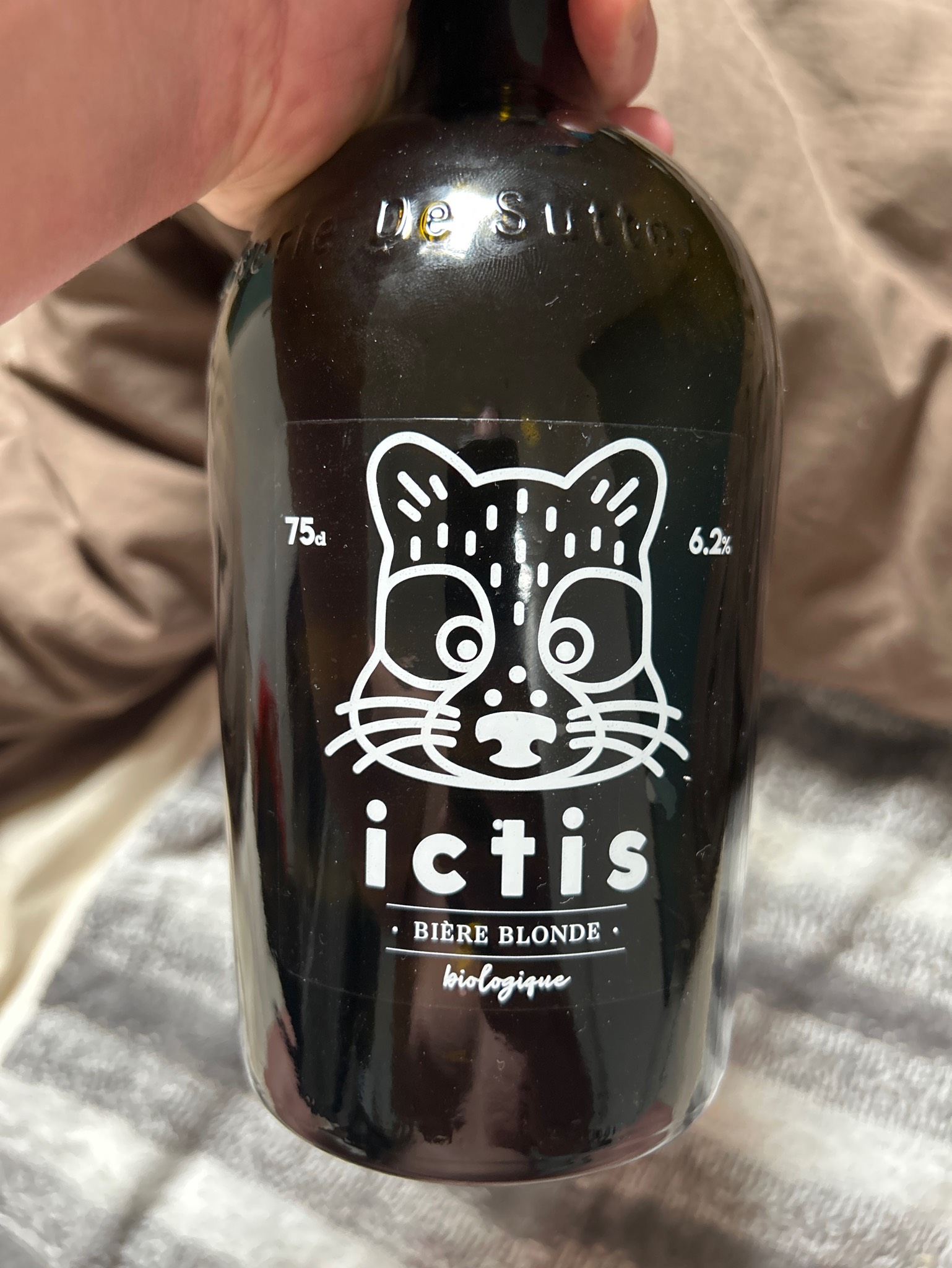 Ictis, France