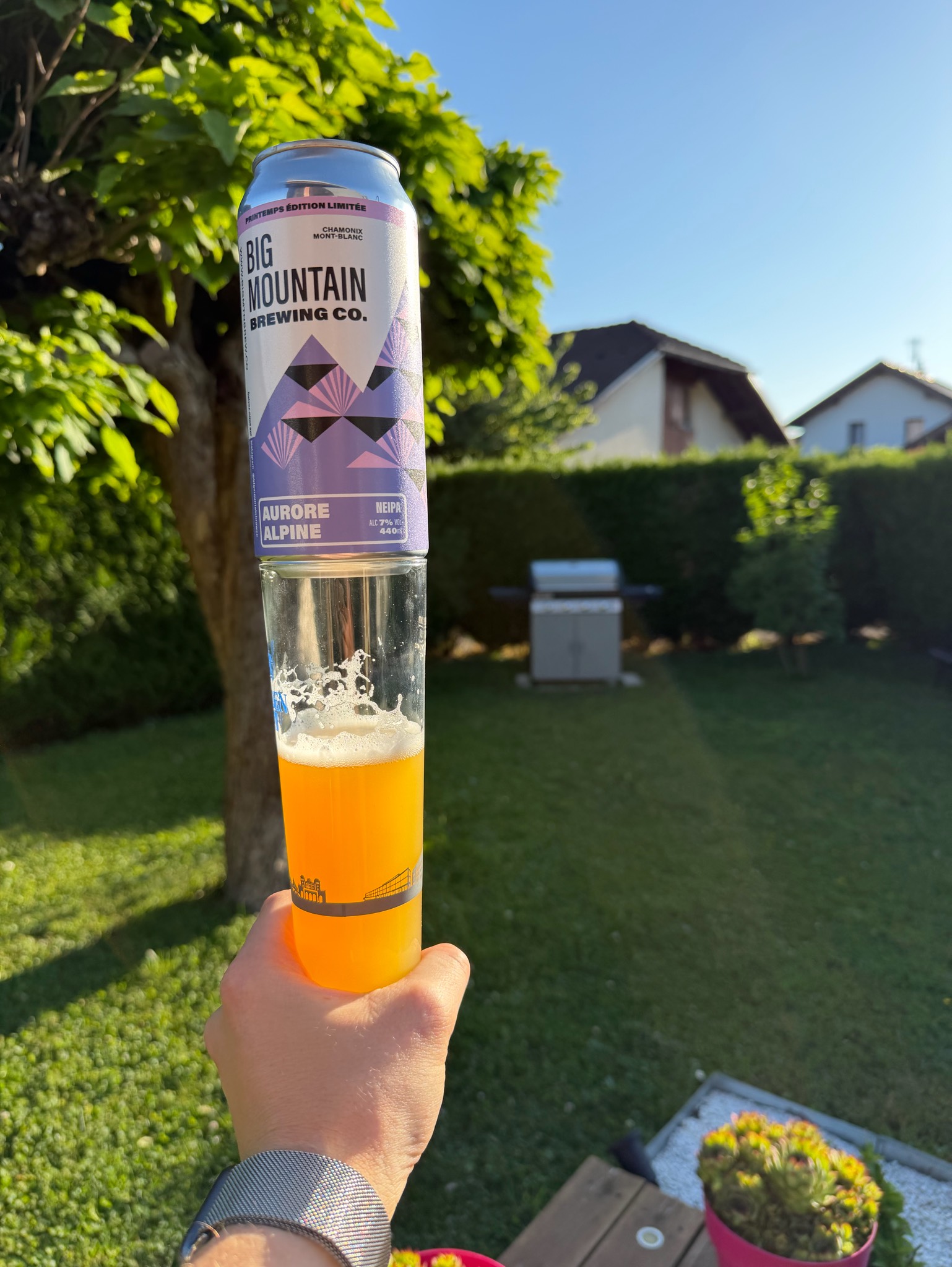 Aurore alpine, Big Mountain Brewing Co.