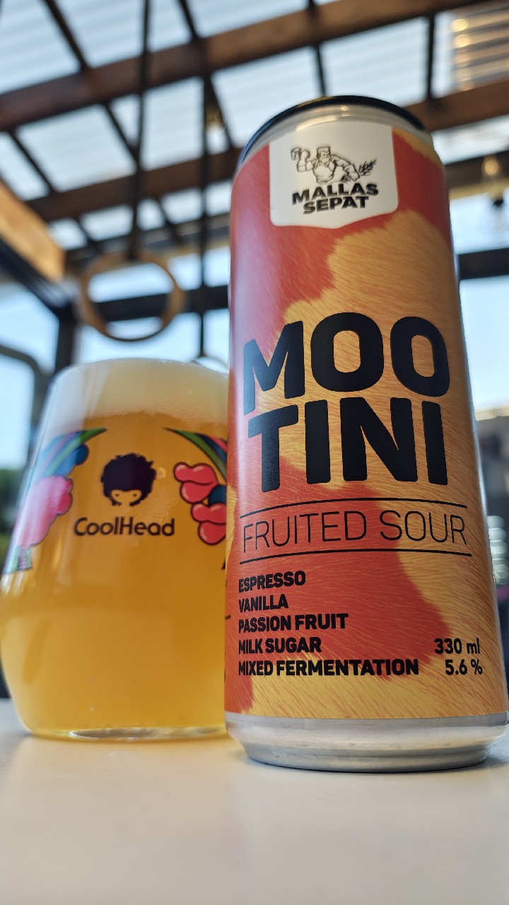 Mootini, Finland