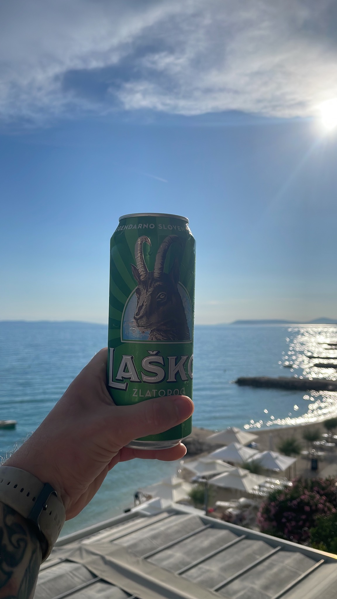 Laško Zlatorog Club, Slovenia