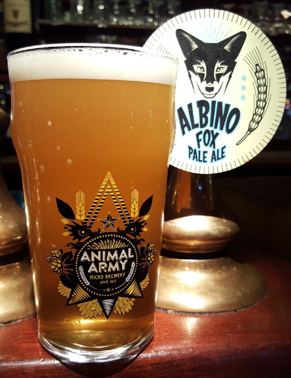 Albino Fox, Animal Army Brewery