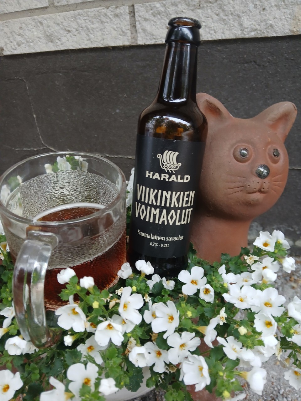 Viikinkien Voimaolut Harald — Suomalainen Savuolut, Finland