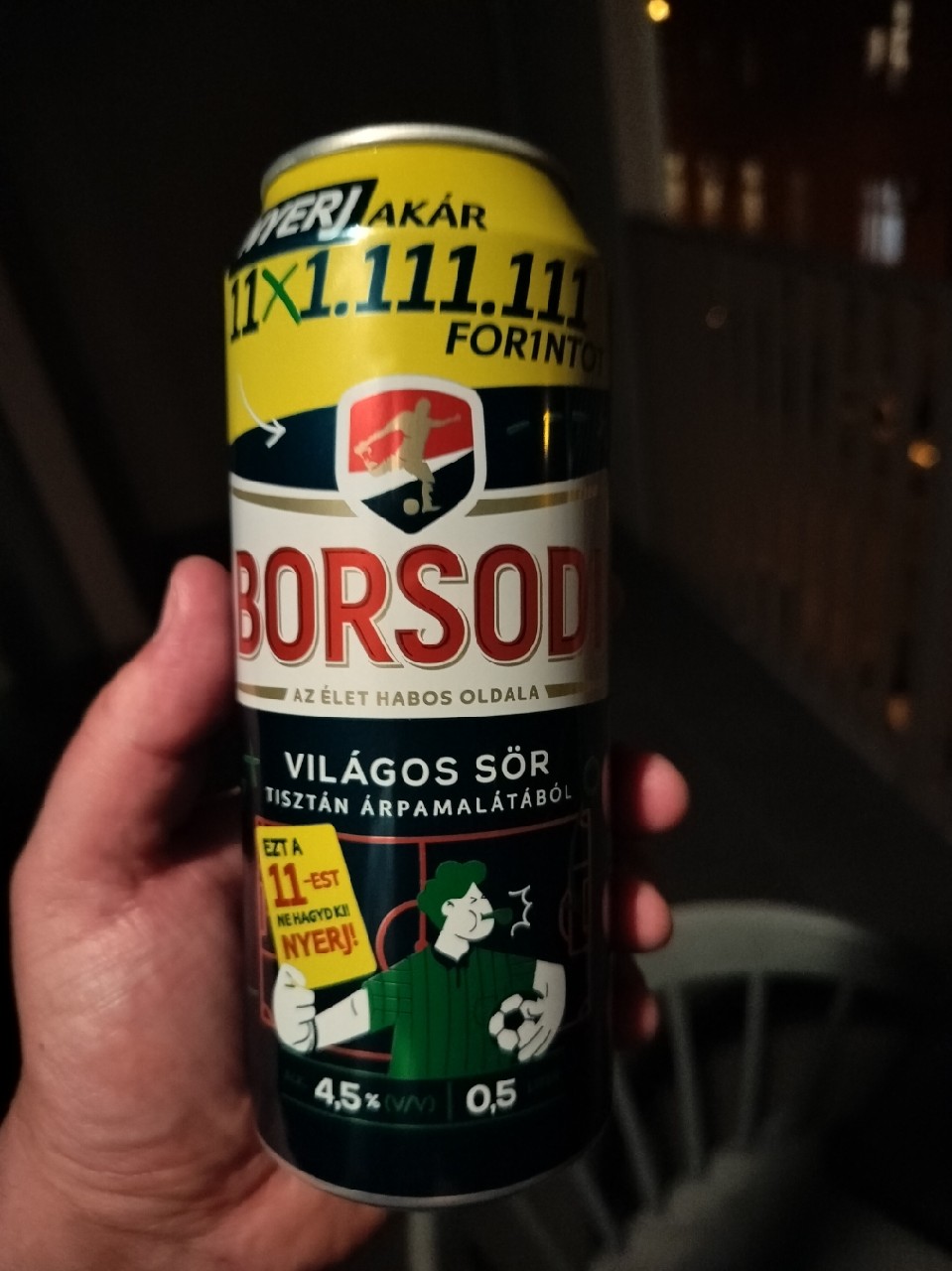 Borsodi, Borsodi Sörgyár Kft