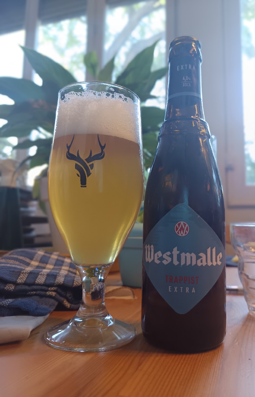 Westmalle Trappist Extra, Belgium