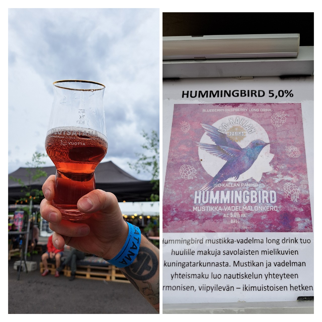 Hummingbird, Finland