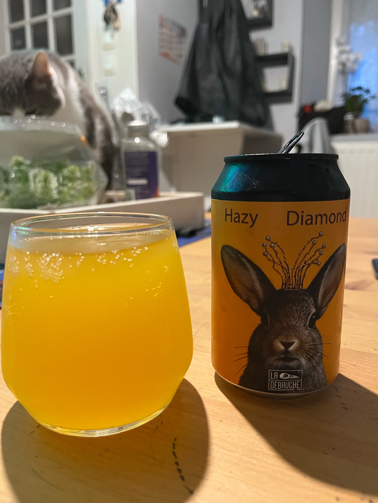 Hazy Diamond, La Débauche