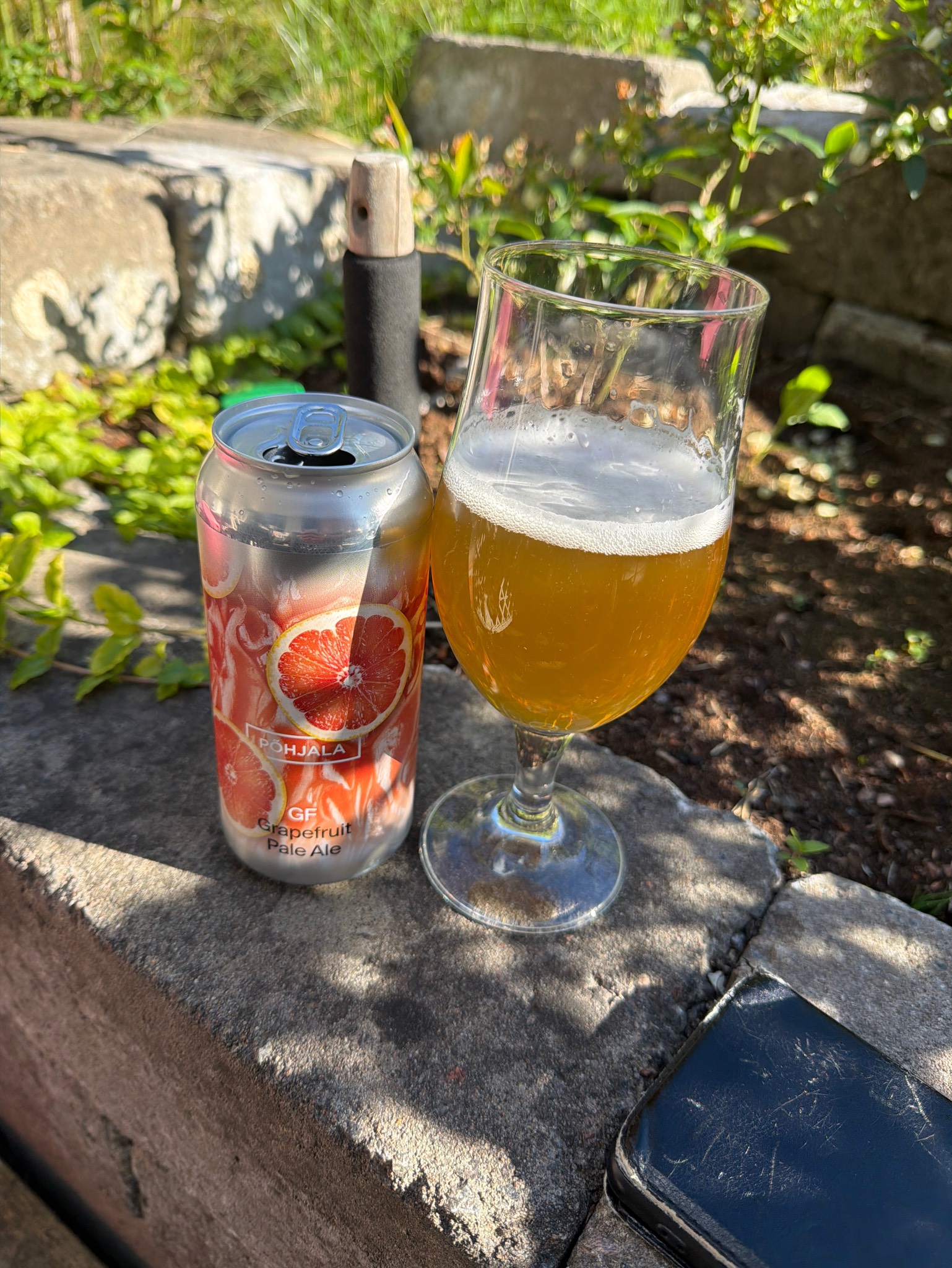 Grapefruit Pale Ale, Estonia