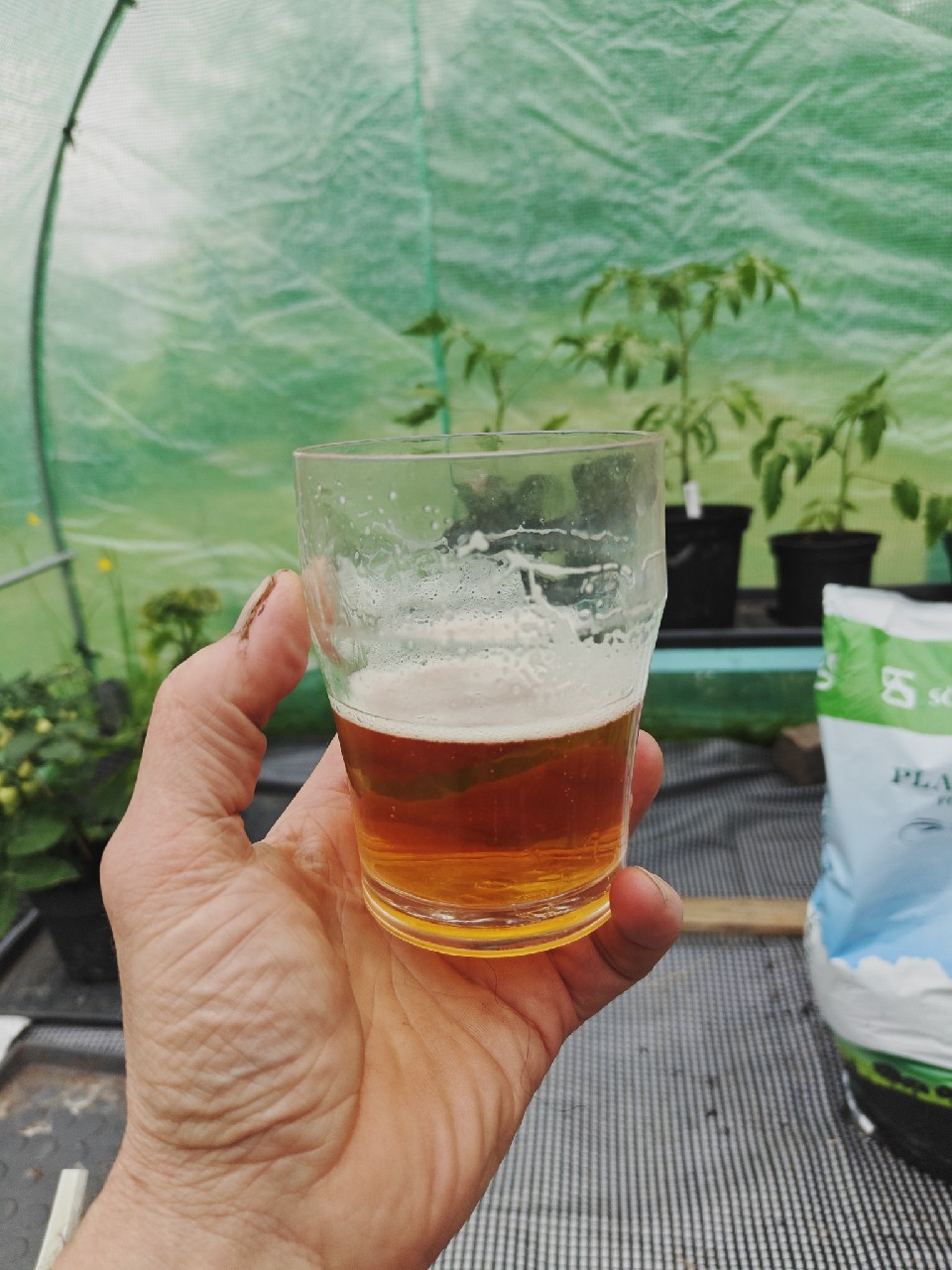 Hoppy Hour Hero IPA, Saranac Brewery