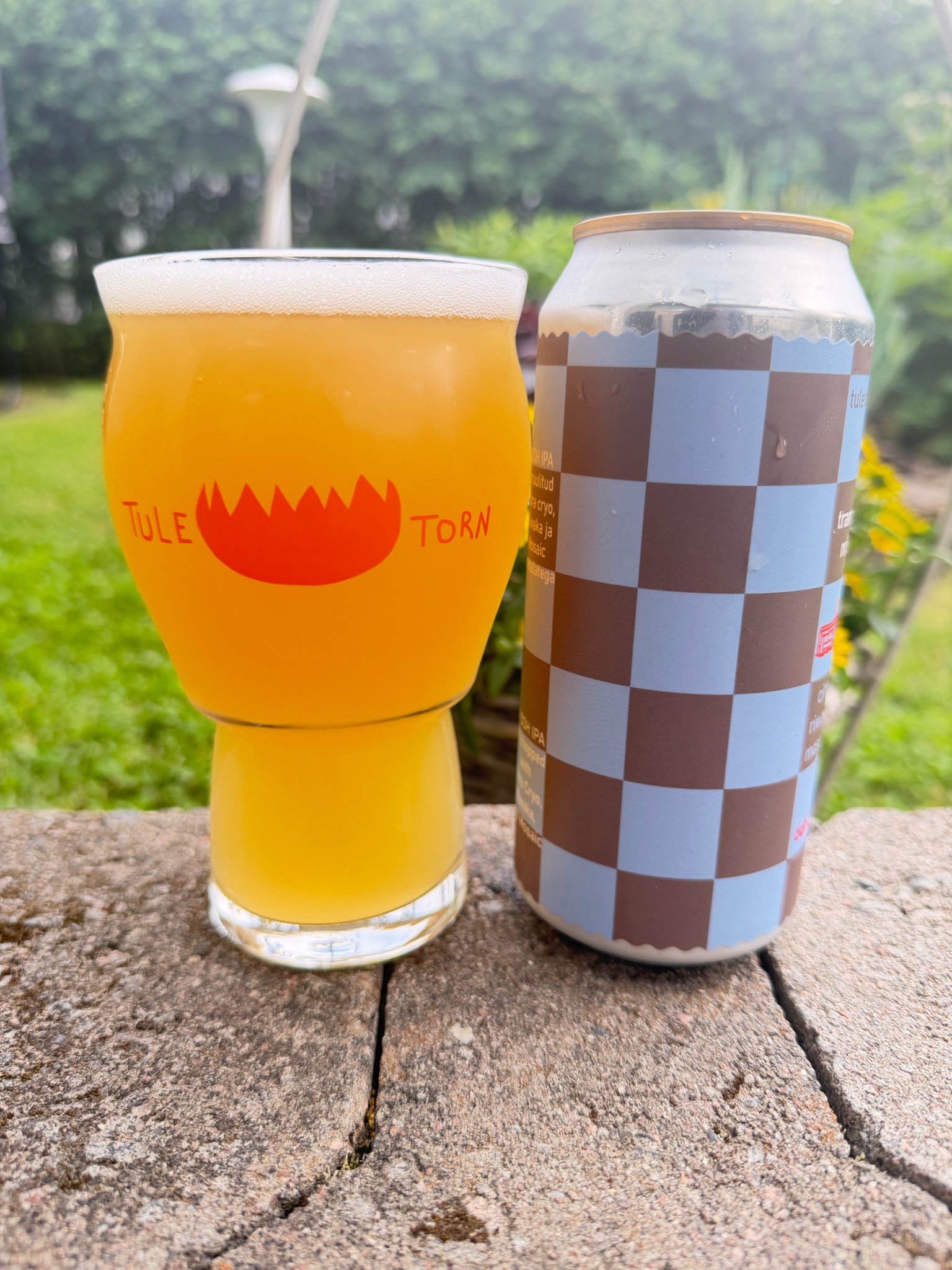 Tramm #1: Citra, Riwaka, Mosaic, Estonia