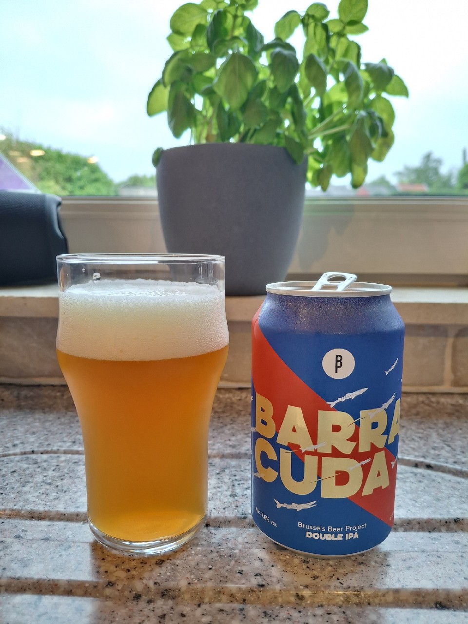 Barracuda, Brussels Beer Project