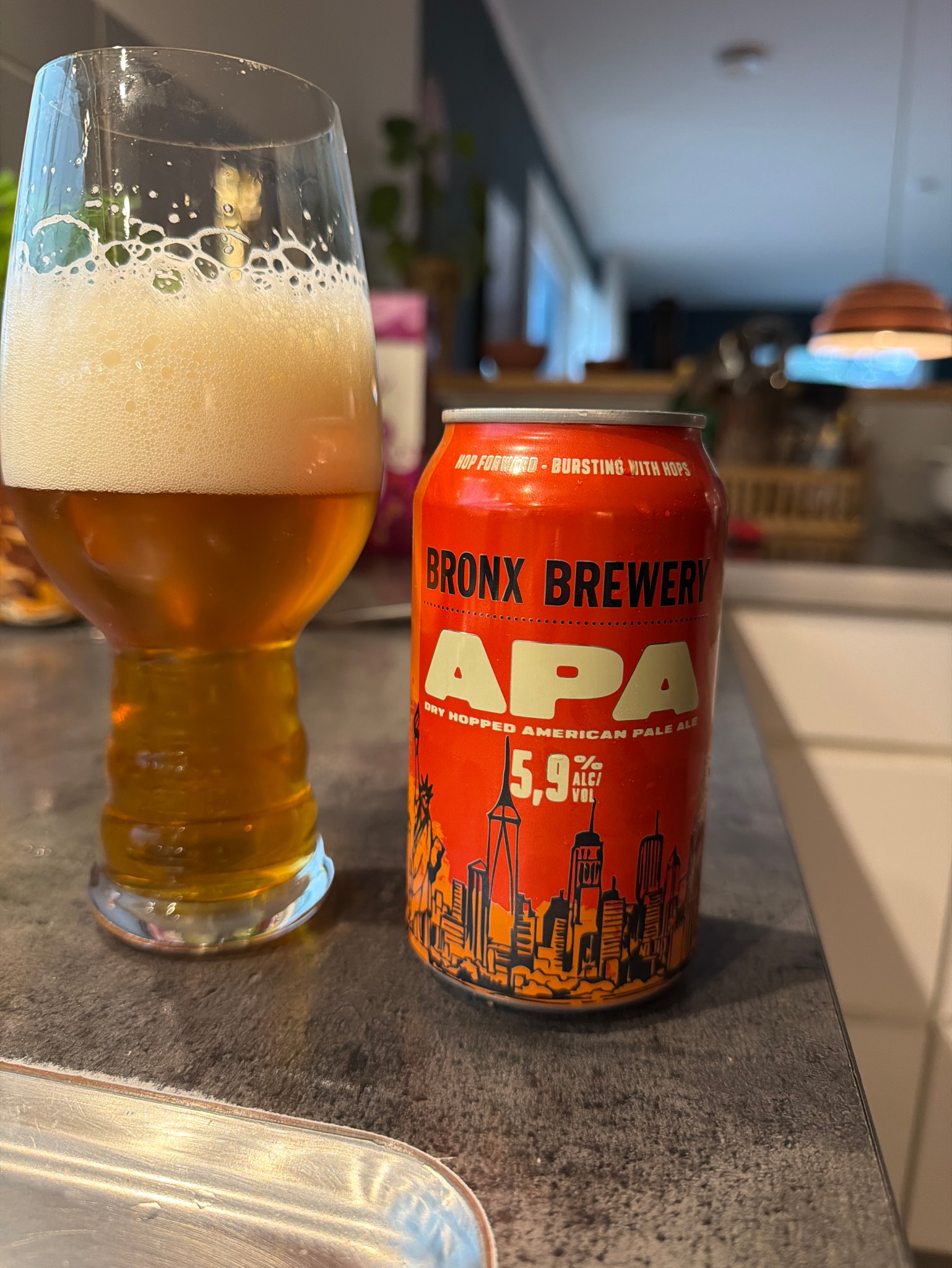 bronx brewery apa, The Bronx Brewery
