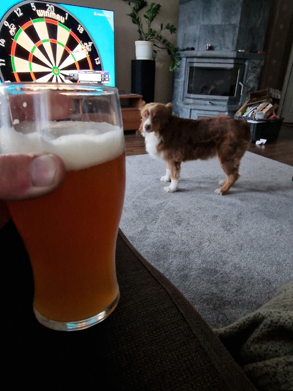 Hacker Pschorr Hefe Weiße / Weissbier, Hacker-Pschorr