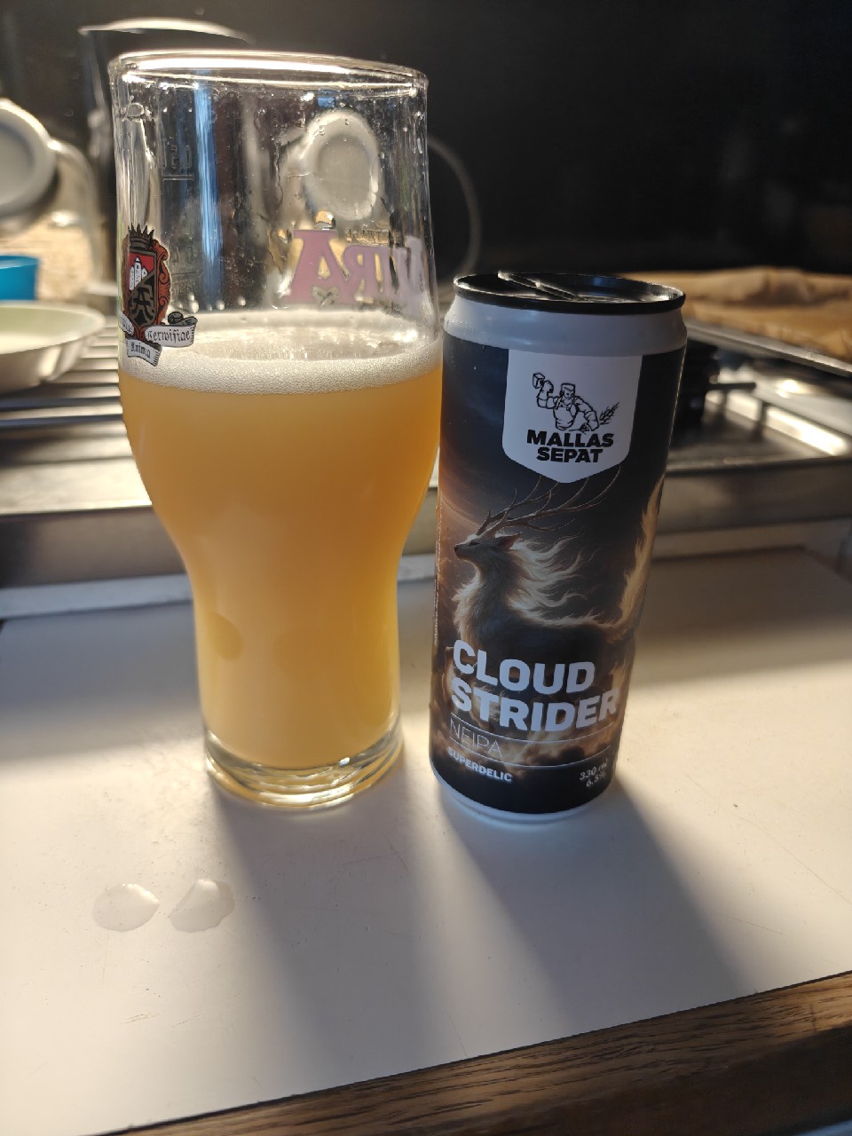 Cloud Strider, Mallassepät