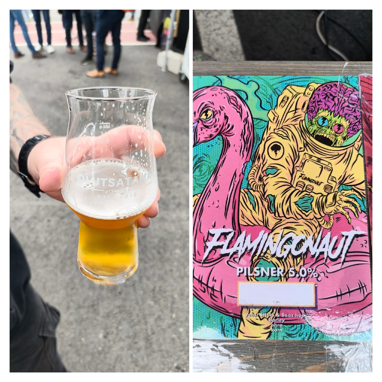 Flamingonaut, Finland