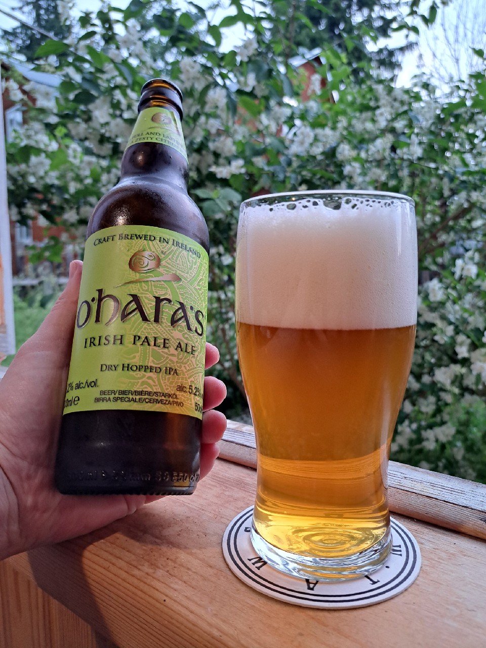 O'Hara's Irish Pale Ale, O'Hara's Brewery (Carlow Brewing Company)