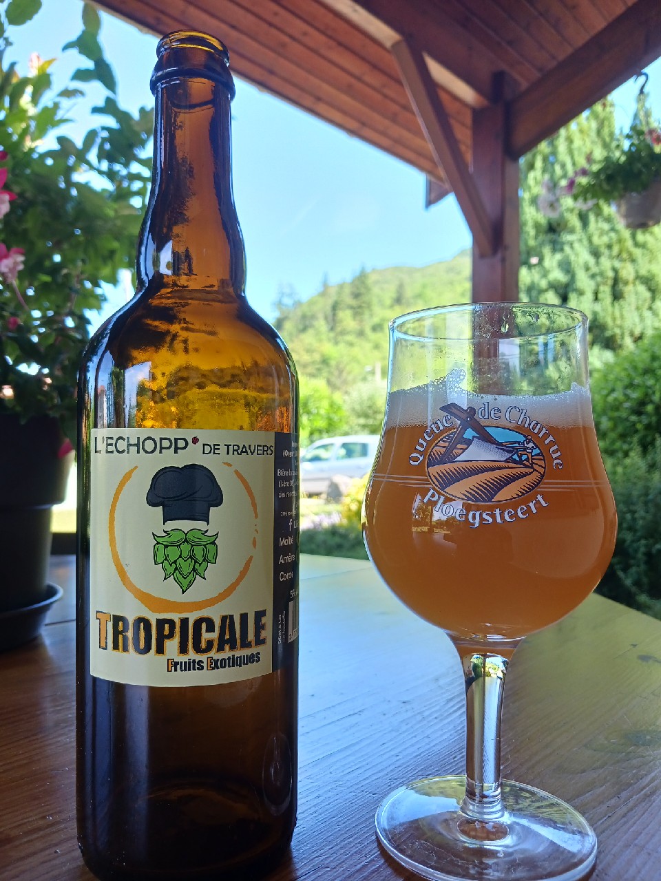 tropicale, France