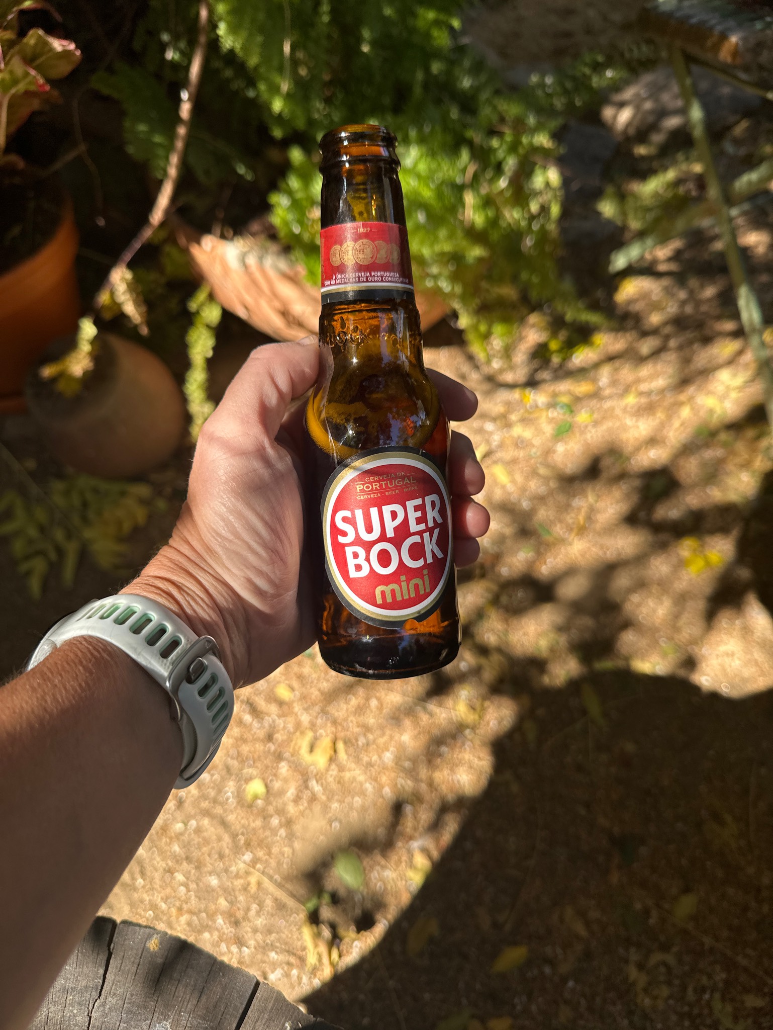 Super Bock Original, Portugal