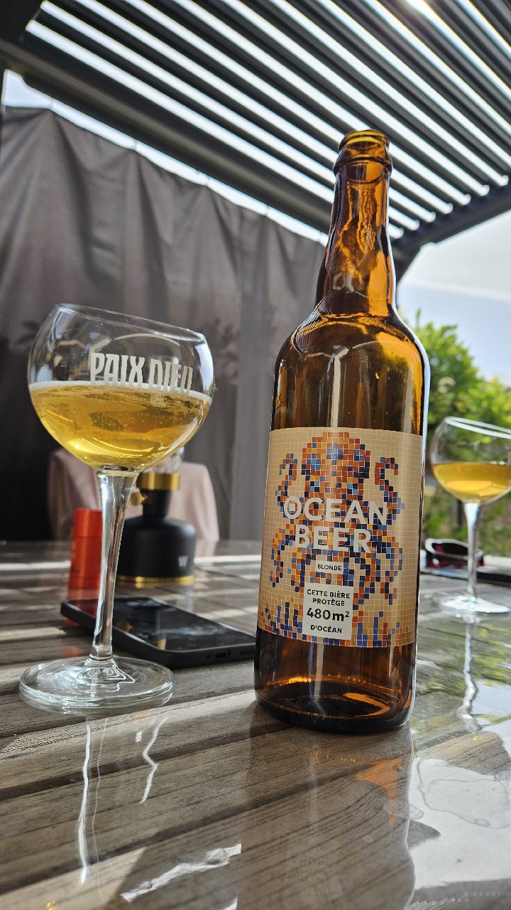 ocean beer, Brasserie Des Sources